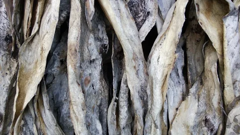 Image of Vincentos is a feast